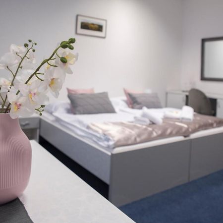 Classic Apartmany トゥジネッツ エクステリア 写真