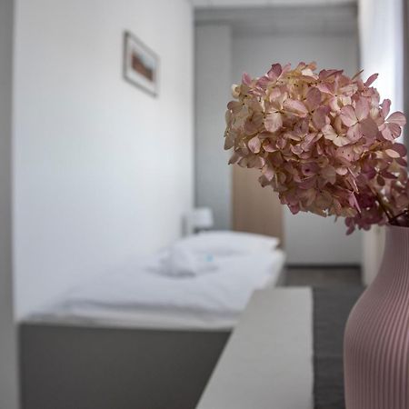 Classic Apartmany トゥジネッツ エクステリア 写真