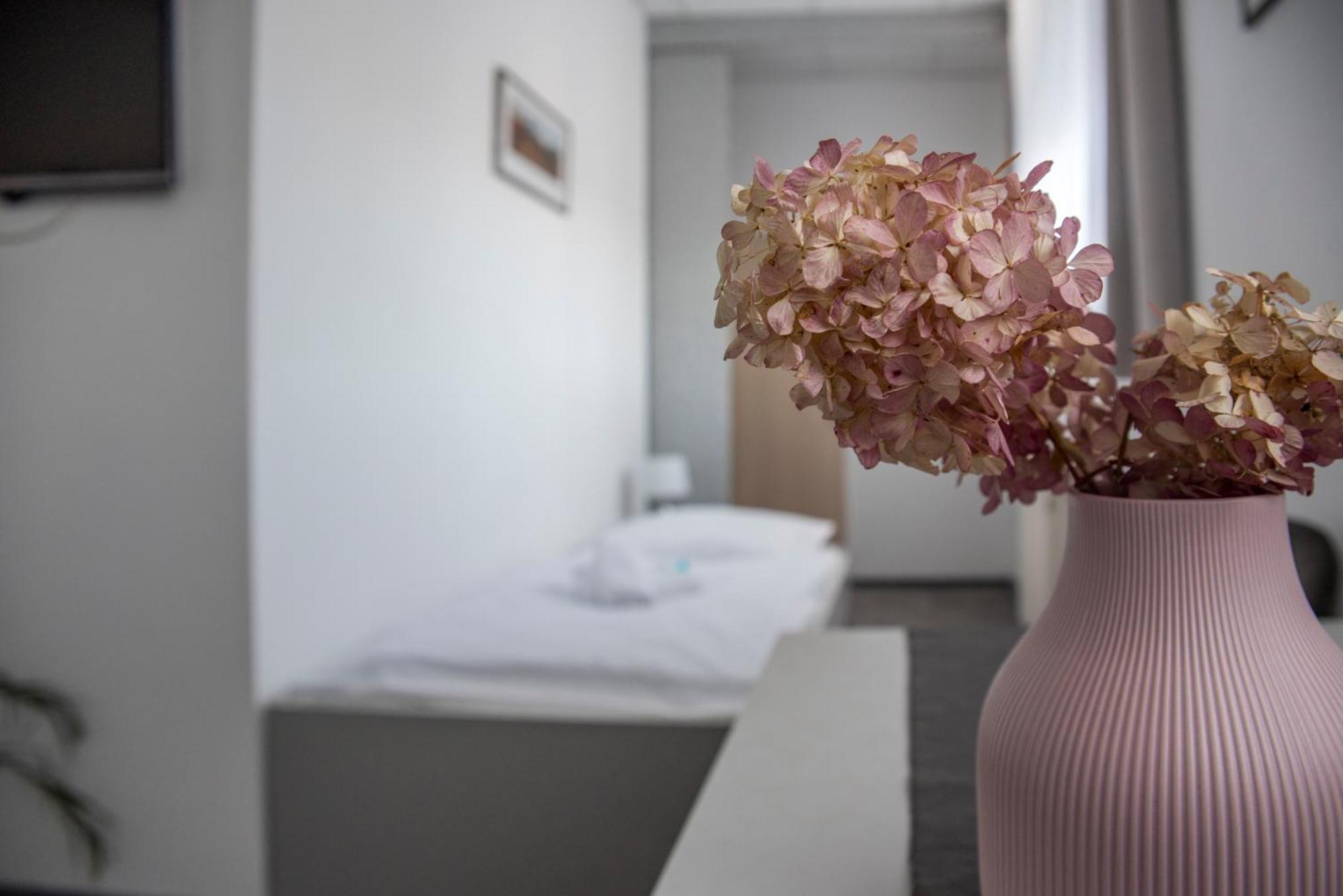 Classic Apartmany トゥジネッツ エクステリア 写真